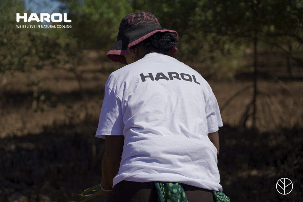 GoForest3_Harol