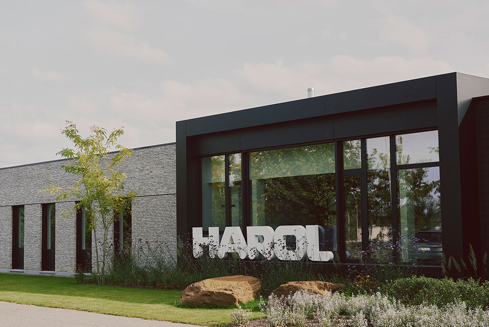 Harol_Belgium